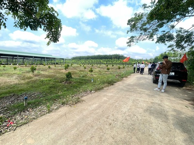 Bán đất tại DH507, An Thái, Phú Giáo, Bình Dương, 600 triệu, 250m2 đẹp, nhiều tiện ích 1