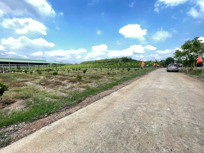 Bán đất tại DH507, An Thái, Phú Giáo, Bình Dương, 600 triệu, 250m2 đẹp, nhiều tiện ích 3
