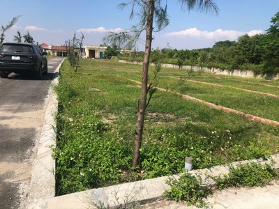 Phân lô lk 100m2 biển quất lâm nam định giáp biển giá nhỉnh 1 tỷ/lô 2