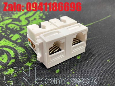 Bộ chuyển đổi RJ45 2 cổng CAT6 CAT6 T568A/8 LAN Ethernet dành cho mặt nạ âm tường âm sàn 1