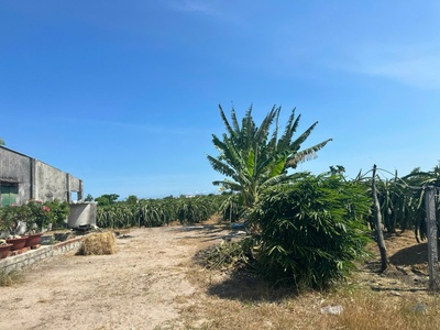 Bán gấp 8.2 sào đất ont tân tiến - tx lagi giảm mạnh còn 290tr/m sào sổ riêng, gần biển 1