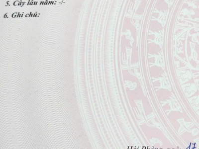 Chính chủ cần bán nhanh 2 lô đất liền kề tại tuyến 1 đường thanh niên, phường ngọc xuyên, đồ sơn, 1