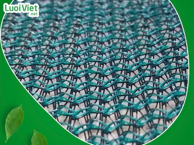 Lưới nhựa HDPE 9