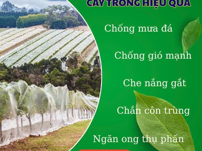 Lưới nhưa HDPE - Giải pháp bảo vệ cây trồng hiệu quả 10