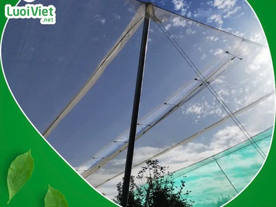 Lưới nhưa HDPE - Giải pháp bảo vệ cây trồng hiệu quả 11