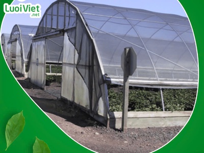 Lưới nhưa HDPE - Giải pháp bảo vệ cây trồng hiệu quả 0