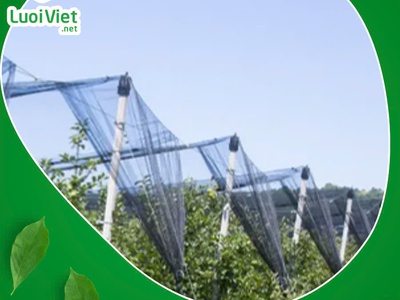 Lưới nhưa HDPE - Giải pháp bảo vệ cây trồng hiệu quả 3