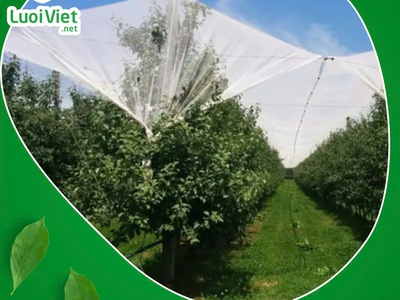 Lưới nhưa HDPE - Giải pháp bảo vệ cây trồng hiệu quả 4