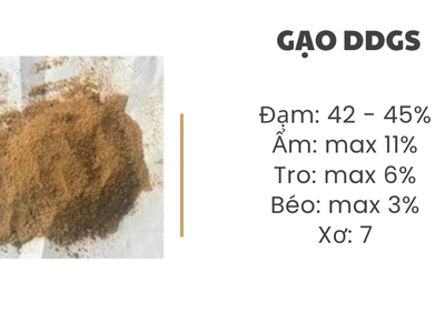 Bã Mè Sấy 40 Đạm sdfg 0