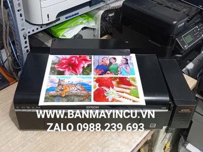 Bán máy in màu Epson L805 cũ 0