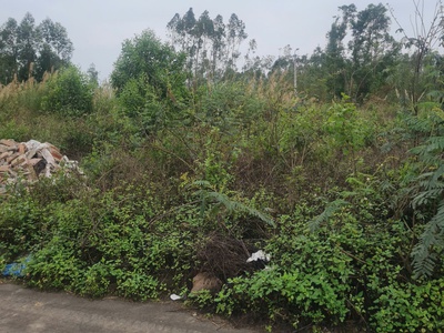 Bán đất đấu giá nội hoàng 90m2- mặt tiền 5m. đường 17m- giá 2,5 tỷ 2