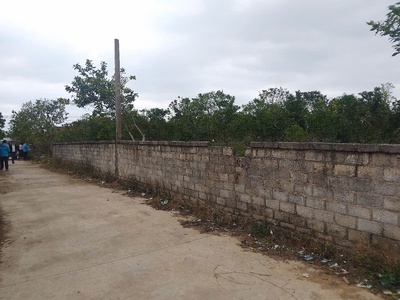 Cần bán 6 lô đất đẹp-phường thanh hải-tx chũ-bắc giang 2