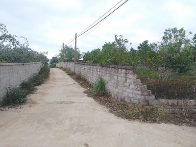 Cần bán 6 lô đất đẹp-phường thanh hải-tx chũ-bắc giang 3