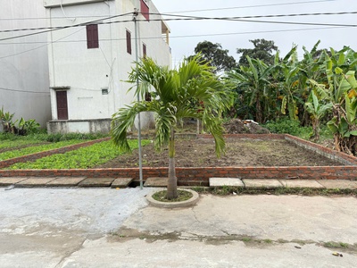 Đất vàng quất lâm: cơ hội đầu tư vàng tại quất lâm cách bãi tắm chỉ 50m 3