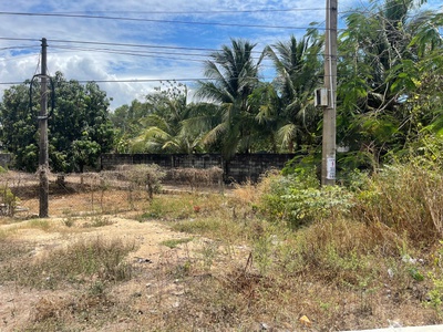 Đất ngộp mặt tiền quốc lộ 55 - tân phước - tx lagi chỉ 250tr/m ngang 1