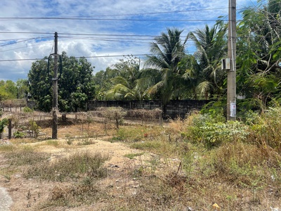 Đất ngộp mặt tiền quốc lộ 55 - tân phước - tx lagi chỉ 250tr/m ngang 3