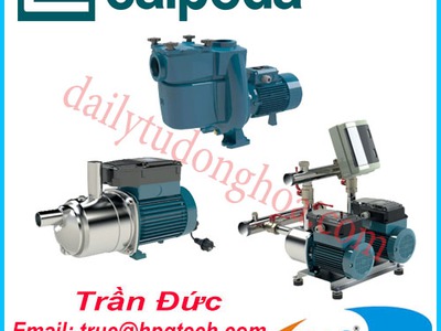 Bơm Ly Tâm Calpeda   Calpeda chính hãng 0