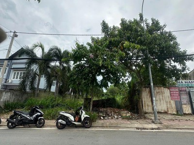 Mặt tiền nguyễn thị sáu- thới tam thôn- hóc môn- nở hậu- gần tô ký- đường có lề - 449m2 - tiện xây 2