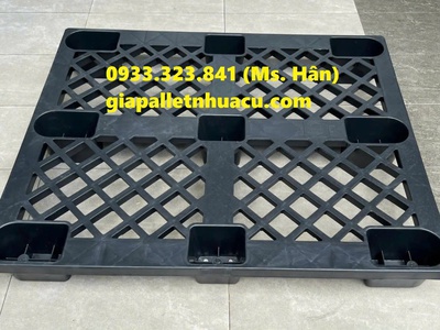 Pallet Nhựa- Giải Pháp Hoàn Hảo Cho Kho Vận và Logistics Tại Cà Mau 5