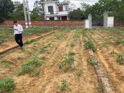 Hàng ngộp cần bán gấp, giá rẻ như tặng không, cắt lỗ gấp lô đất đẹp gần kcn qv2, bắc ninh - giá chỉ 1