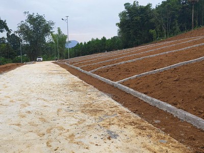 Đất thổ cư rẻ thanh hóa gần kcn, trường học, cty- sổ đỏ giá 280tr 4