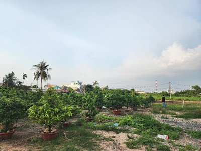 Bán đất an phú đông, quận 12, 1400m2 , hxh, ngang 54m, siêu khủng, gía chỉ 24.5 tỷ tl 0