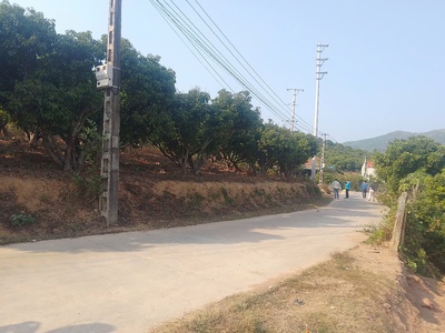 Cần bán 5 lô đất biệt thự kiên thành thị xã chũ giá rẻ 1