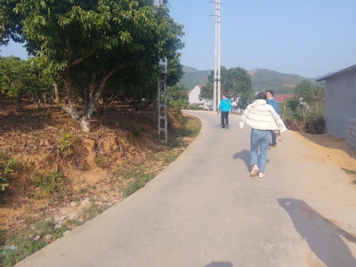 Cần bán 5 lô đất biệt thự kiên thành thị xã chũ giá rẻ 3
