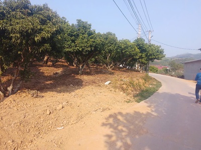 Cần bán 5 lô đất biệt thự kiên thành thị xã chũ giá rẻ 2