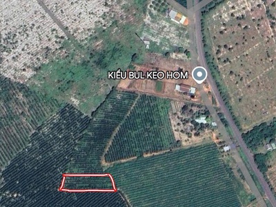 Bán đất thổ cư quốc lộ 55, thắng hải,tân thắng, bình thuận - 1236m2 - giá hời 1.2 tỷ - sổ đỏ 1