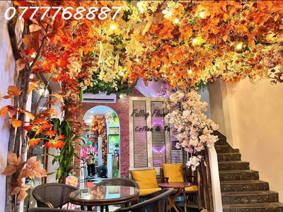 Bán nhà cũ đường kd tốt nhất nguyễn gia trí, bình thạnh, hđt trên 200tr 1