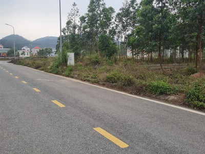 Bán đất đấu giá cẩm lý, lục nam, bắc giang. 90m2- mt 5m. giá 1,3 tỷ 3