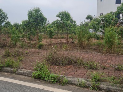 Bán đất đấu giá cẩm lý, lục nam, bắc giang. 90m2- mt 5m. giá 1,3 tỷ 4