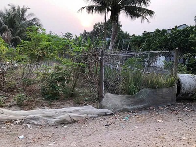 Chính chủ cần bán gấp lô đất tại xã tân hưng - tân châu - tây ninh. 0