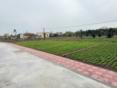 Bán đất trung tâm thị trấn quất lâm gần bãi tắm, quảng trường từ 1 tỷ 1