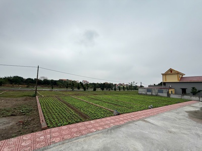 Bán đất trung tâm thị trấn quất lâm gần bãi tắm, quảng trường từ 1 tỷ 4