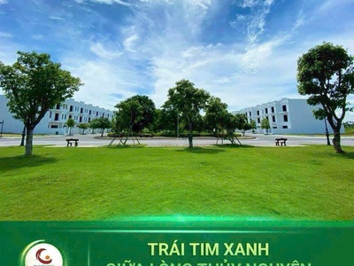 Bán lô lk05 rẻ nhất khu đô thị tân quang minh, thủy nguyên, hải phòng 0