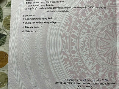 Chào bán 2 lô đất đẹp mướt mơ mặt đường thôn trải nhựa, đường thông rộng 2 oto tránh nhau - tại 2