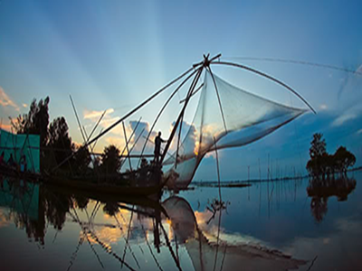 Lưới vó chỉ dù cất cá tphcm 1