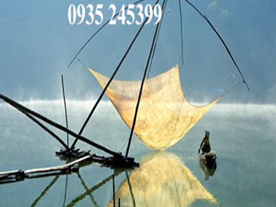 Lưới vó chỉ dù cất cá tphcm 0