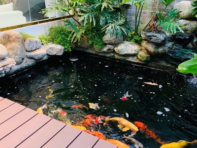 Nhà Phố 3 Tầng Siêu Đẹp - Ngang 7.5m - Đường Ôtô Tránh Cách Mặt Tiền Nguyễn Thị Thập Chỉ 30m 1