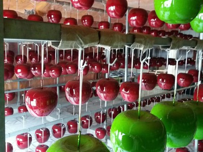 CTY Chuyên sản xuất cung cấp các hệ Sơn PU, NC, 1K, 2K, SƠN MEN, SƠN KÍNH, SƠN SẮT EPOXY 1