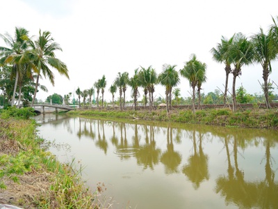 Đất nền giá tốt tại agora city - khu đô thị trung tâm hành chính thương mại thủ thừa 1