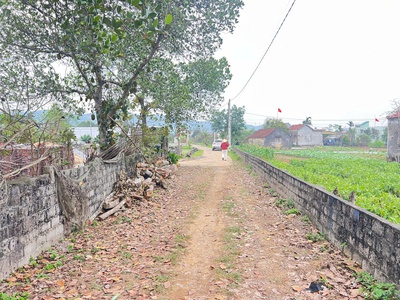 Hot đất đẹp - giá tốt - vị trí đắc địa tại thôn 5, xã quỳnh vinh, thị xã hoàng mai, tỉnh nghệ an 3
