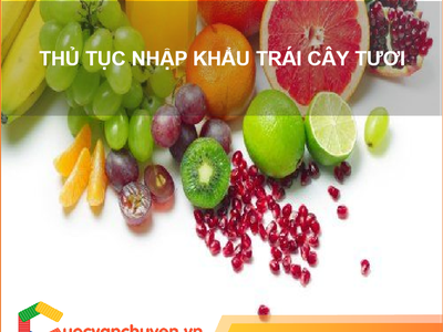 Thủ Tục Nhập Khẩu Trái Cây Tươi Vào Việt Nam 0