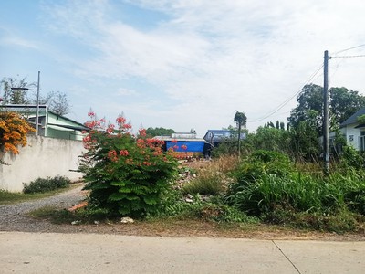Bán đất 2/ nguyễn thị nê - 455m2 - 11.6x40 - 178m2 thổ cư - xã phú hòa đông - củ chi 1