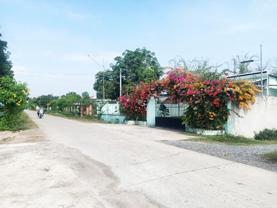 Bán đất 2/ nguyễn thị nê - 455m2 - 11.6x40 - 178m2 thổ cư - xã phú hòa đông - củ chi 3