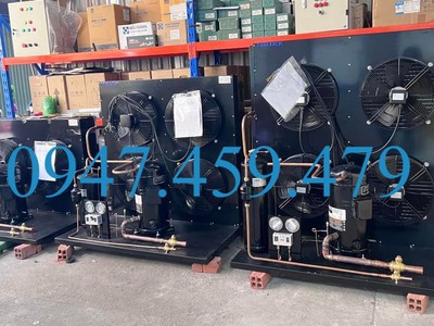 Cung cấp, lắp đặt cụm máy nén kho lạnh Copeland 8hp ZR94KC-TFD-522 tại Sóc Trăng 0