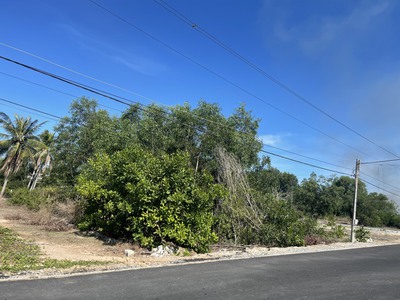 Đất ngộp  1225m2 mặt tiền ngô tất tố, thị xã lagi chỉ 4tr/m2 gần biển cam bình 4