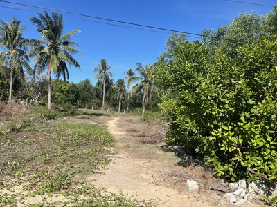 Đất ngộp  1225m2 mặt tiền ngô tất tố, thị xã lagi chỉ 4tr/m2 gần biển cam bình 2